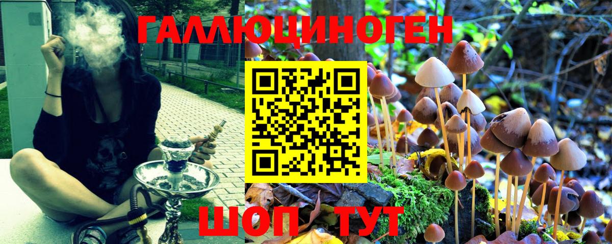 Галлюциногенные грибы GOLDEN TEACHER Екатеринбург
