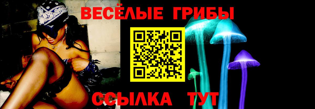 Псилоцибиновые грибы GOLDEN TEACHER  Вход с VPN  Екатеринбург 